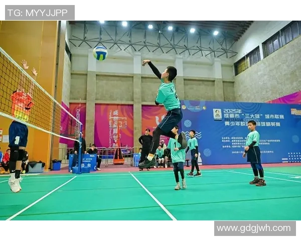 成都排球队实力分析与发展潜力探讨聚焦排球运动的未来之路