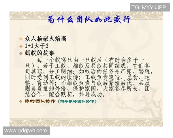 成都篮球队团队协作的力量与技巧探讨聚焦篮球运动的成长与发展 成都篮球队团队协作的力量与技巧探讨聚焦篮球运动的成长与发展